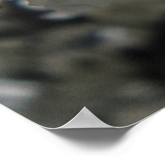 Poster van de pruimelbloem (Hoek)