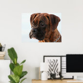 Poster van de puppy Boxer (Thuiskantoor)