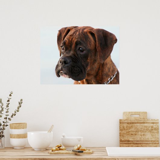 Poster van de puppy Boxer (Keuken)