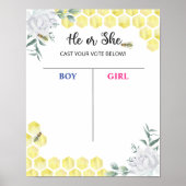 Poster van de Raad van bestuur van bijen (Voorkant)