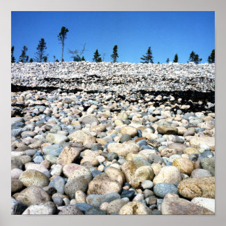 Poster van de Rakkelderscène