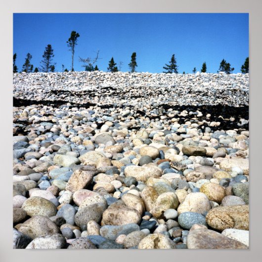 Poster van de Rakkelderscène (Voorkant)