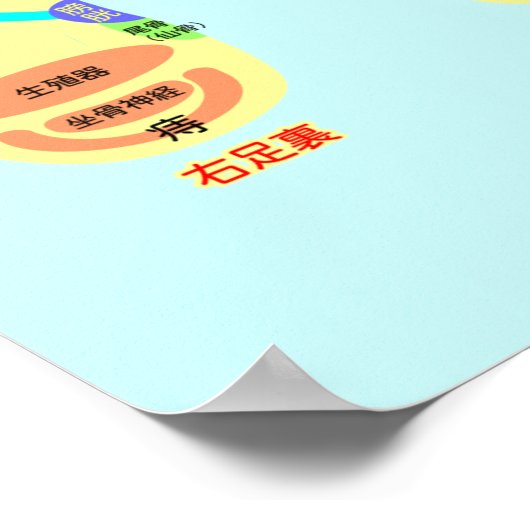 poster van de reflexologische voetkaart (Hoek)