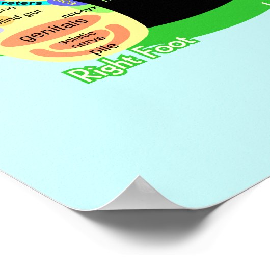 poster van de reflexologische voetkaart (Hoek)