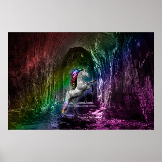Poster van de regenboogontinkting (Voorkant)