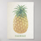 Poster van de retro-ananas van Hawaii (Voorkant)