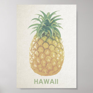 Poster van de retro-ananas van Hawaii