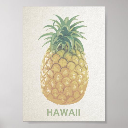 Poster van de retro-ananas van Hawaii (Voorkant)