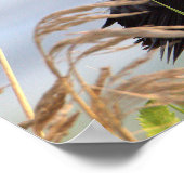 Poster van de Rode-vleugel (Hoek)