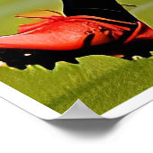 Poster van de Rugby-kunst voor vrouwen (Hoek)