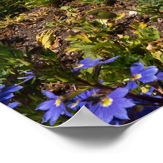 Poster van de San Diego LDS-tempel (Hoek)