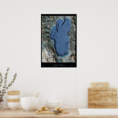 Poster van de satelliet van het meer van Tahoe Cal (Keuken)