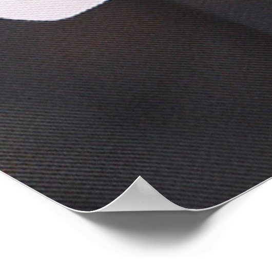 Poster van de schedel en de kruisbeenderen (Hoek)