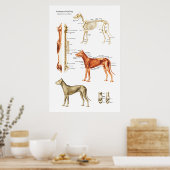 Poster van de skeletspier en skeletanatomie (Keuken)