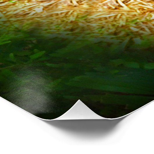 Poster van de Sloth Rainforest (Hoek)