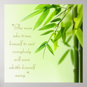 Poster van de Spa-behandeling