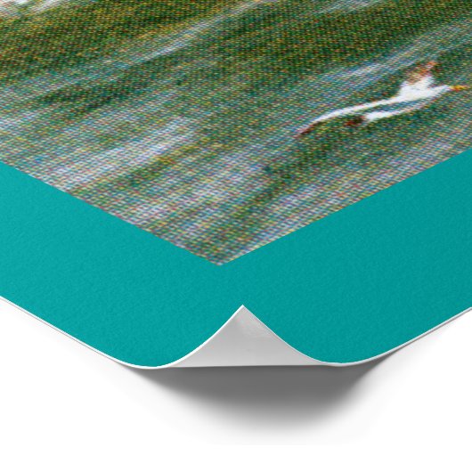 Poster van de Steamship van de Anchor-lijn (Hoek)