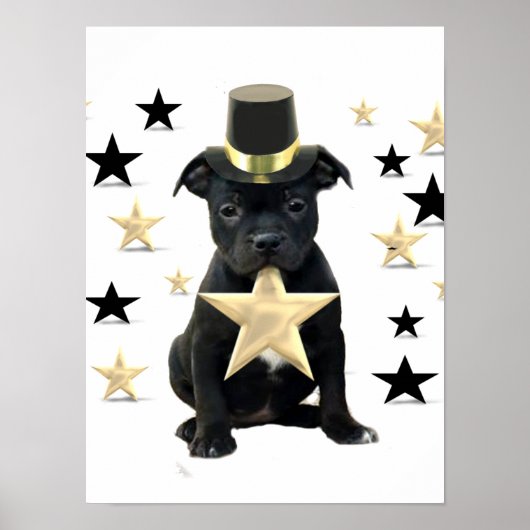 Poster van de stier van Staffordshire (Voorkant)