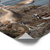 Poster van de Stille Oceaan (Hoek)