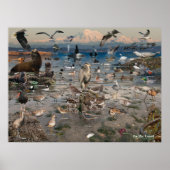 Poster van de Stille Oceaan (Voorkant)