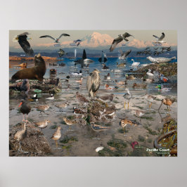 Poster van de Stille Oceaan