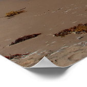 Poster van de strand van Padre Island (Hoek)