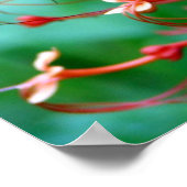 Poster van de Struik van de vlinder (Hoek)