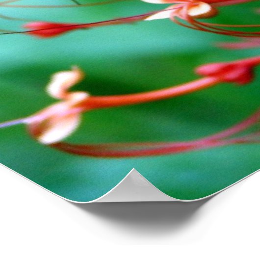 Poster van de Struik van de vlinder (Hoek)