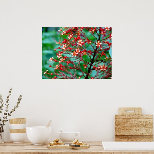 Poster van de Struik van de vlinder (Keuken)