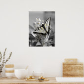 Poster van de swallowtail Butterfly (Keuken)