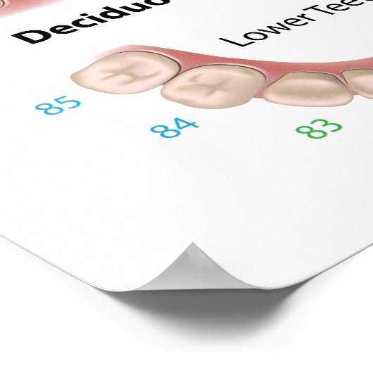 Poster van de tandheelkunde (baby tanden) (Hoek)