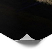 Poster van de tijger - Posters met wilde dieren (Hoek)