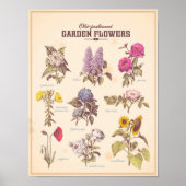Poster van de tuinbloemen (Voorkant)
