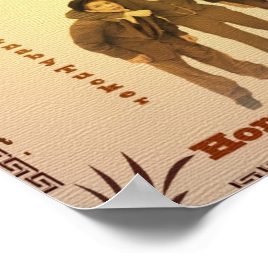 Poster van de Vandergeldershaai en de diervoederwi (Hoek)