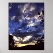 Poster van de veldspinkeling (Voorkant)