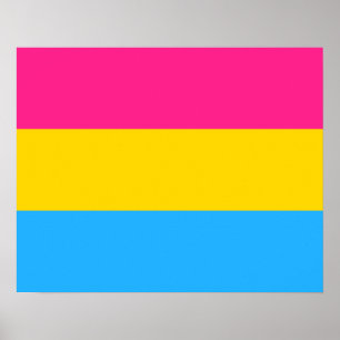 Poster van de vlag van Pansexuality