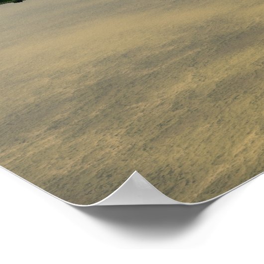 Poster van de vliegende zeevloot (Hoek)