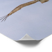 Poster van de vogelpest (Hoek)