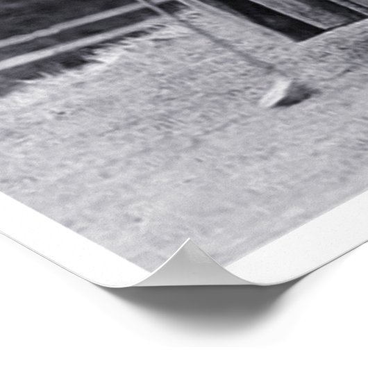  Poster van de Vrouw Golfers (Hoek)