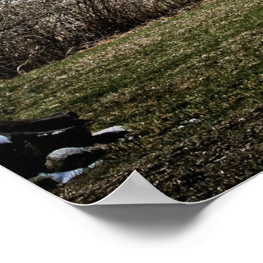 Poster van de vuurtoren van het Deurland (Hoek)