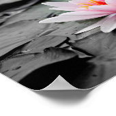 poster van de waterlelie (Hoek)