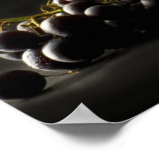 Poster van de wijngaard (Hoek)