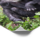 Poster van de wijze chimpansee (Hoek)