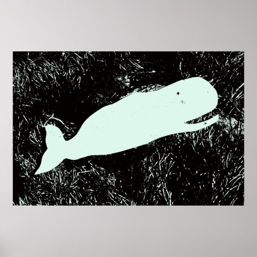 poster van de witte walvis (Voorkant)
