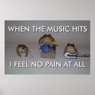 poster van de zeeflap