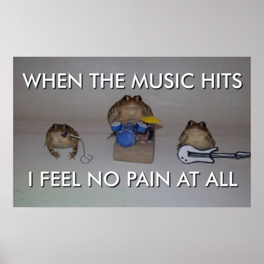 poster van de zeeflap (Voorkant)