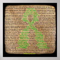 Poster van de ziekte van Lyme, ontkend, genegeerd