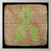 Poster van de ziekte van Lyme, ontkend, genegeerd (Voorkant)