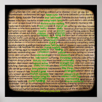 Poster van de ziekte van Lyme, ontkend, genegeerd