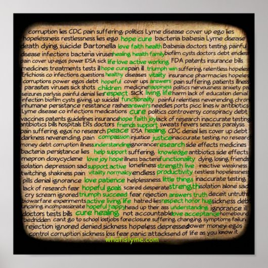 Poster van de ziekte van Lyme, ontkend, genegeerd (Voorkant)